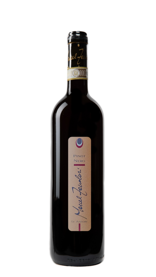 Pinot Nero IGT BIO ‘Le Anfore’ Marcel Zanolari